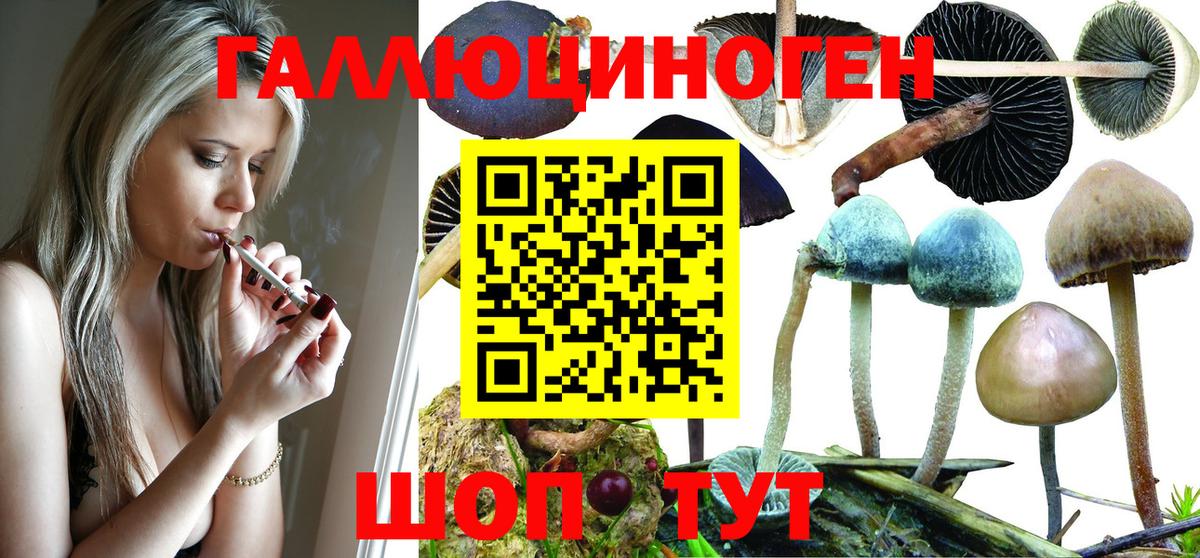Псилоцибиновые грибы прущие грибы Миллерово